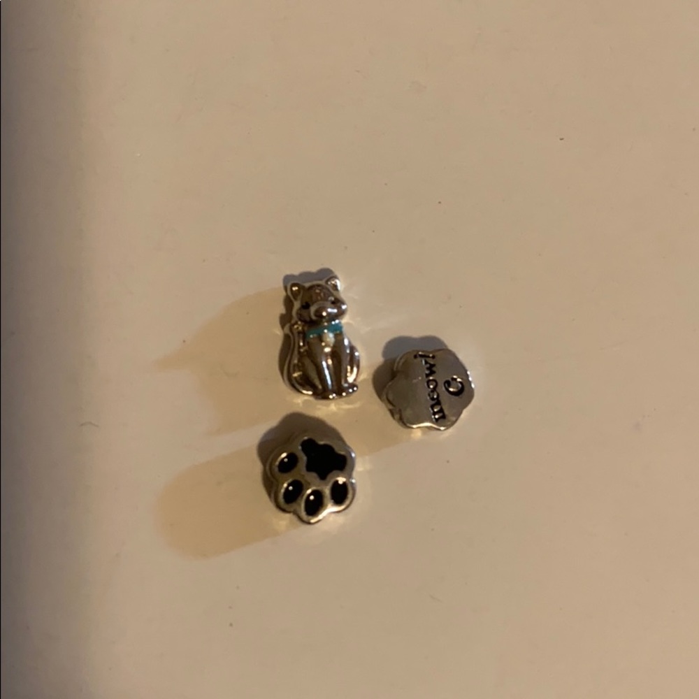 Origami Owl Boy Cat with paws charms (3)